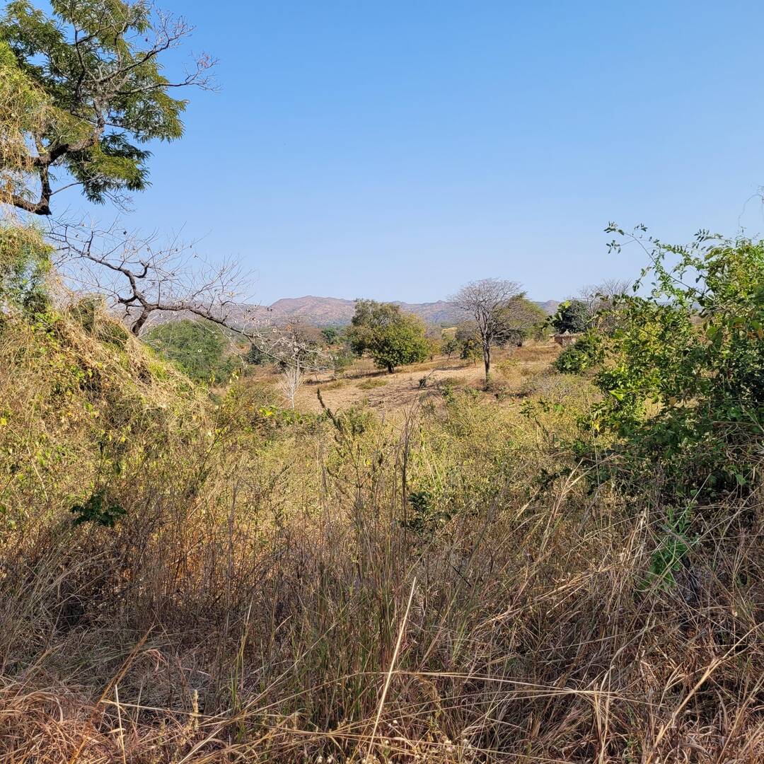 Zambia