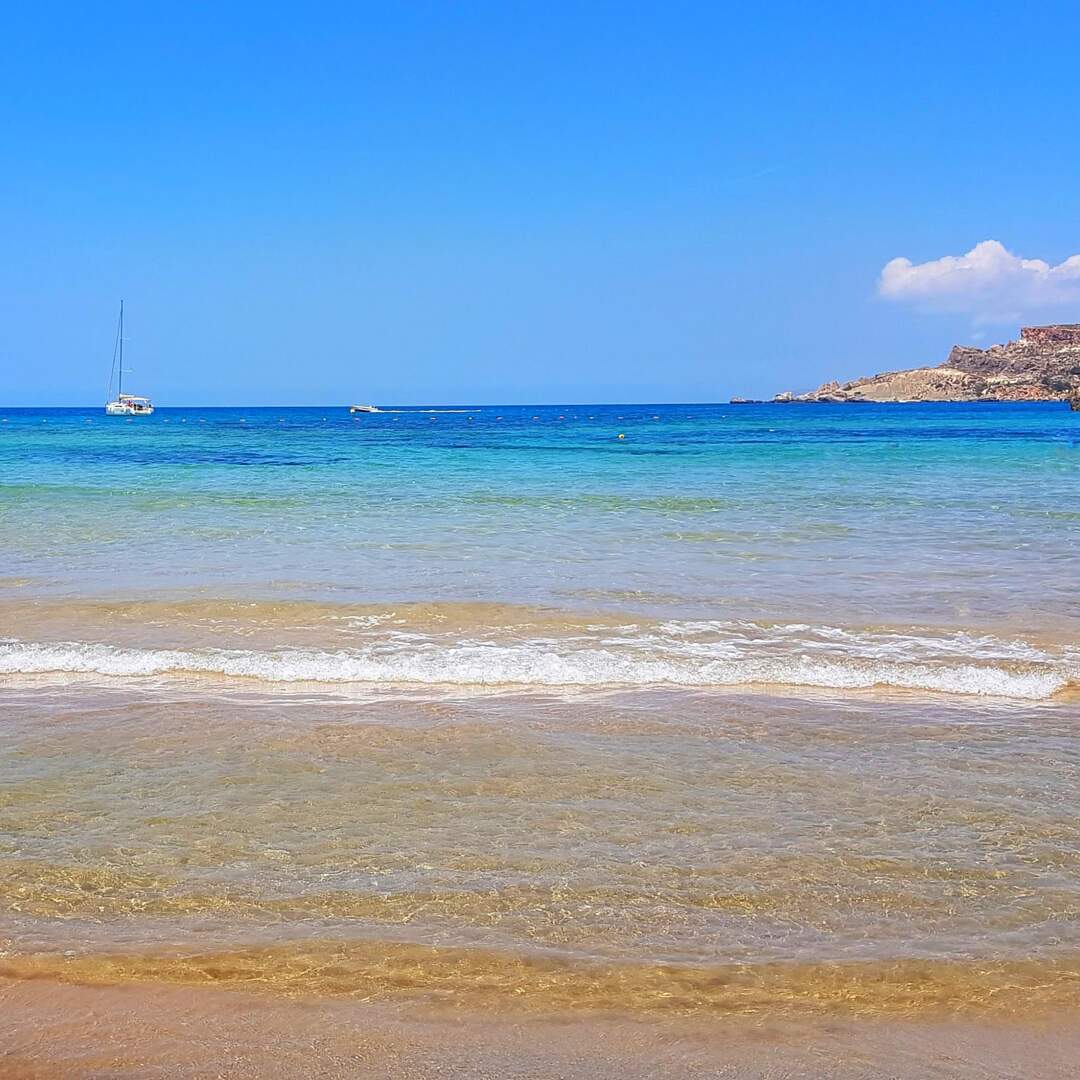wuseliges Malta mit Kunschi