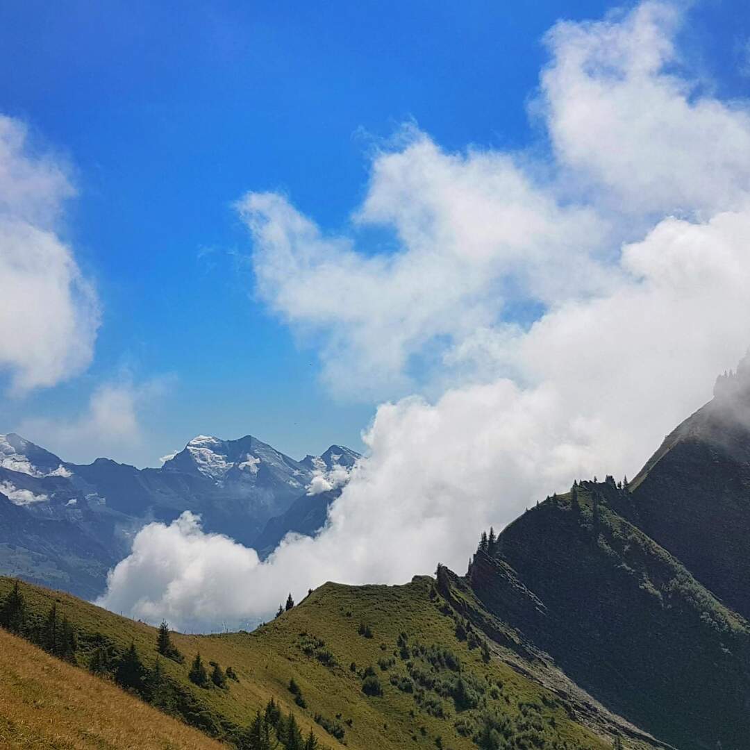 Schweizer Alpen