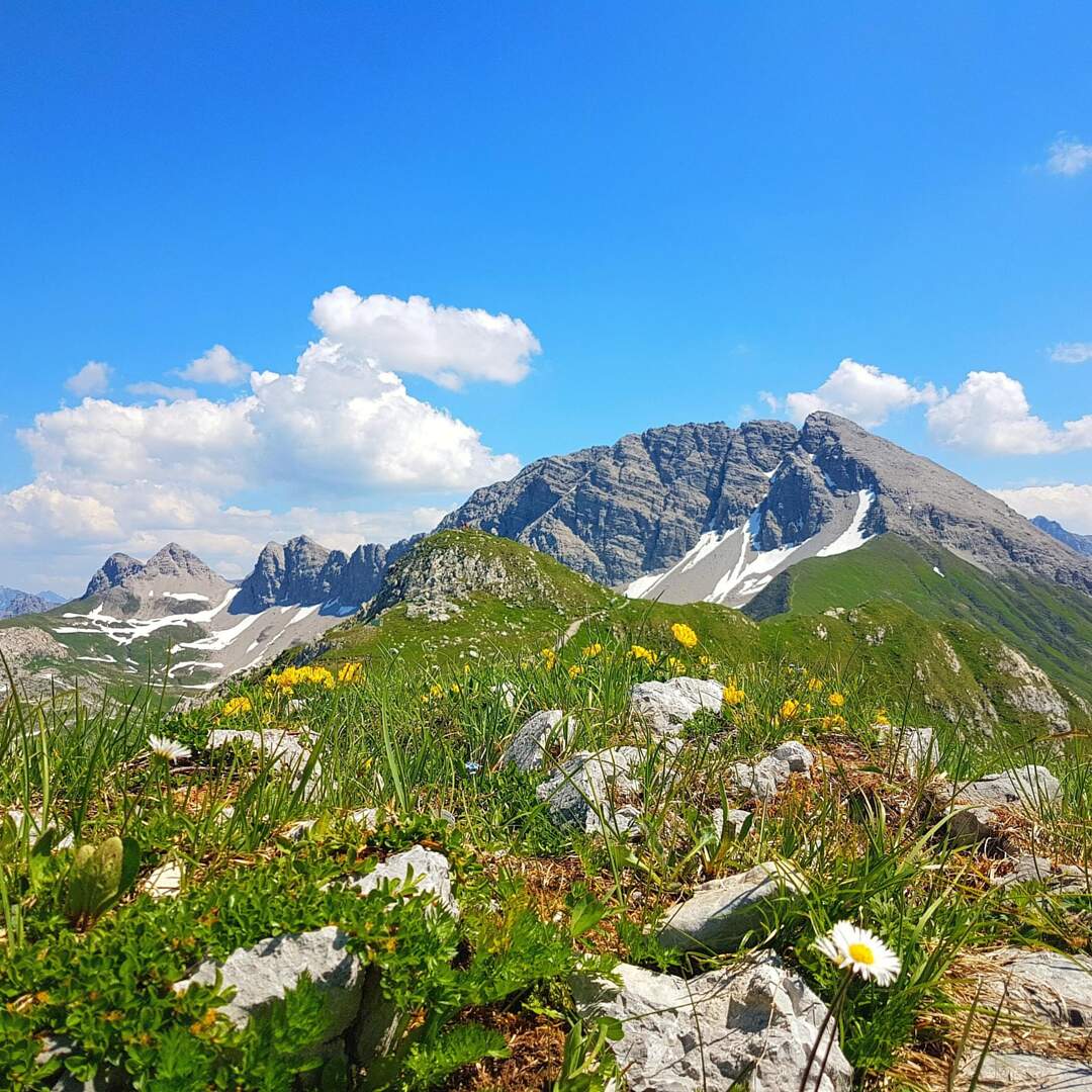 Lechtaler Alpen mit Steve