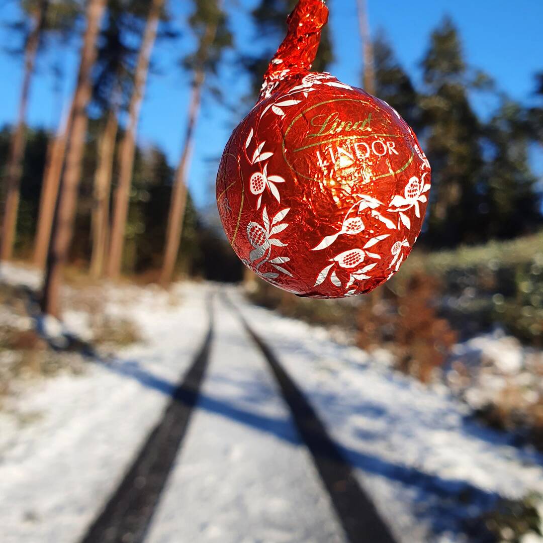 Dezembervibes