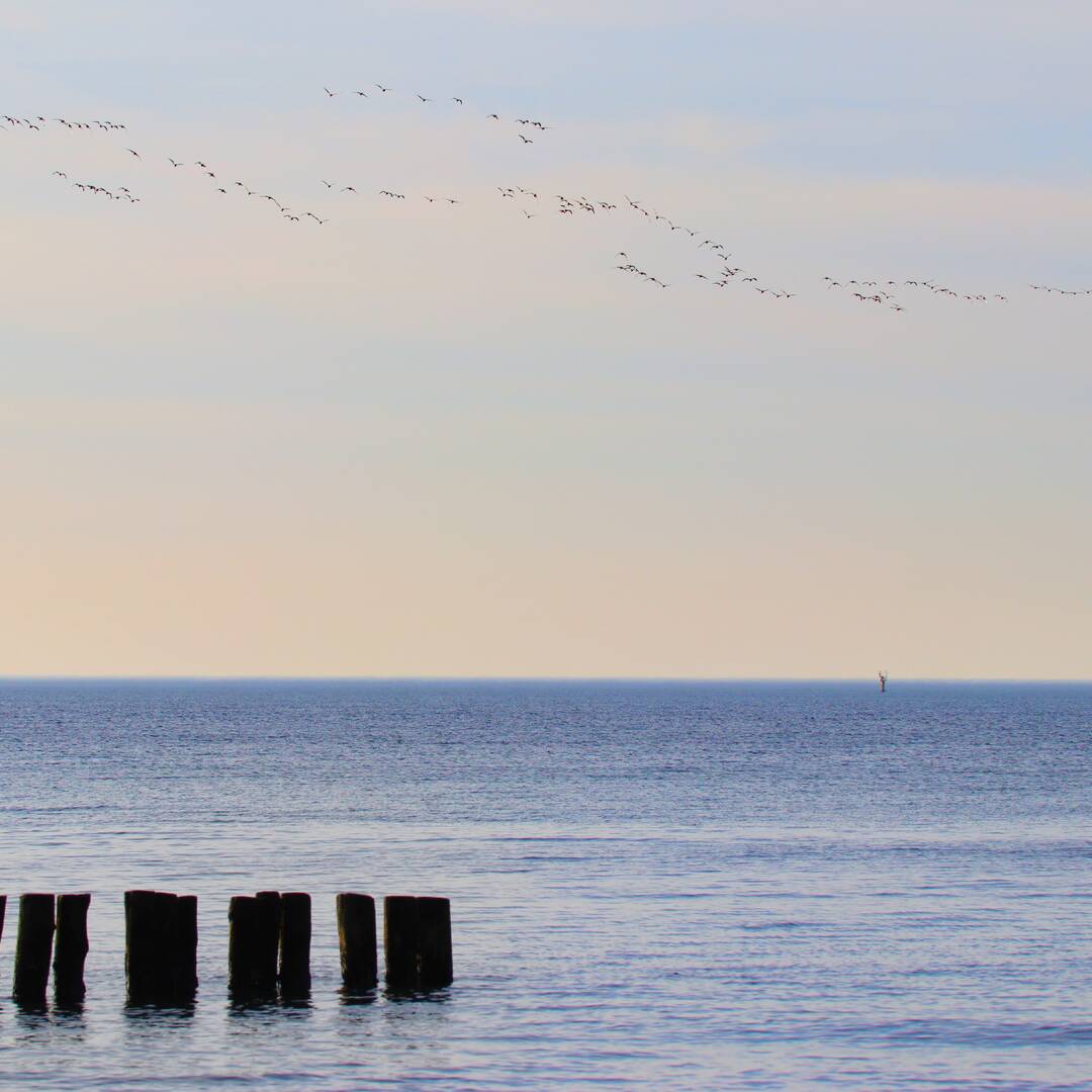 Strand Torfbrücke & Hohe Düne