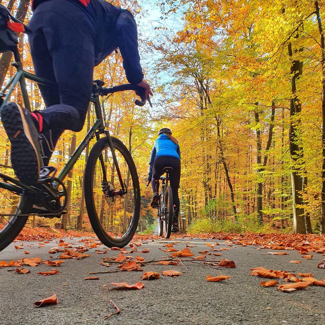 Herbstlich unterwegs