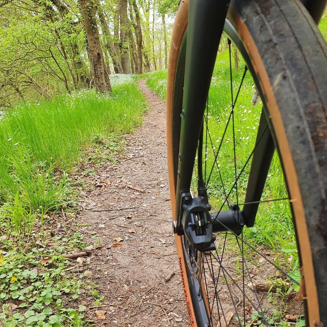 Schweriner Seen-Trail