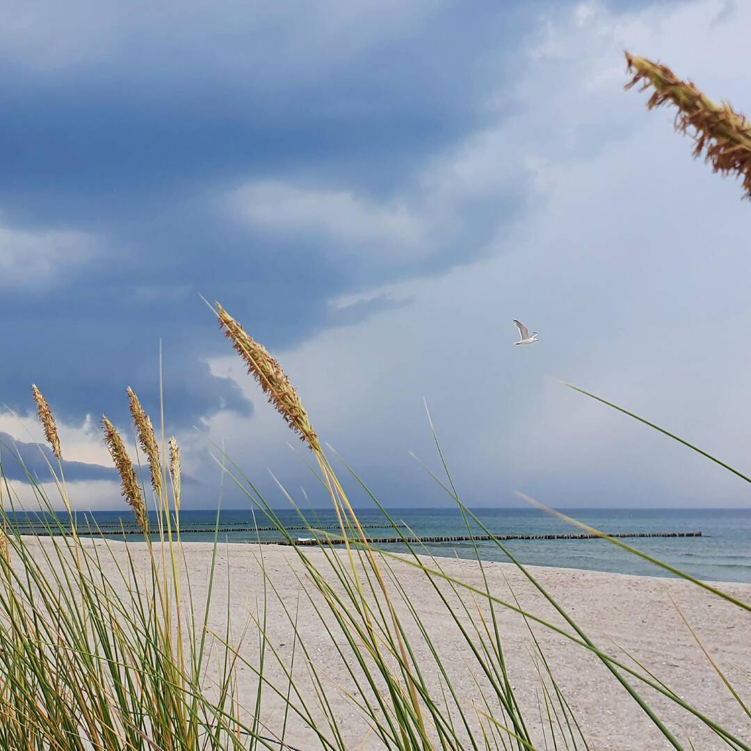 Ostseestrand Dierhagen