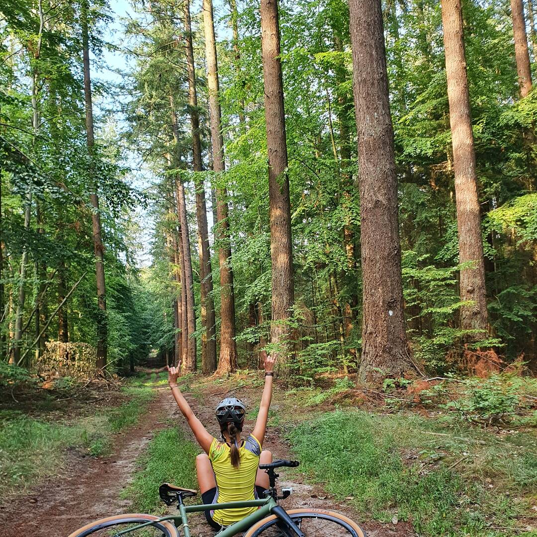 Waldbaden reinigt die Seele