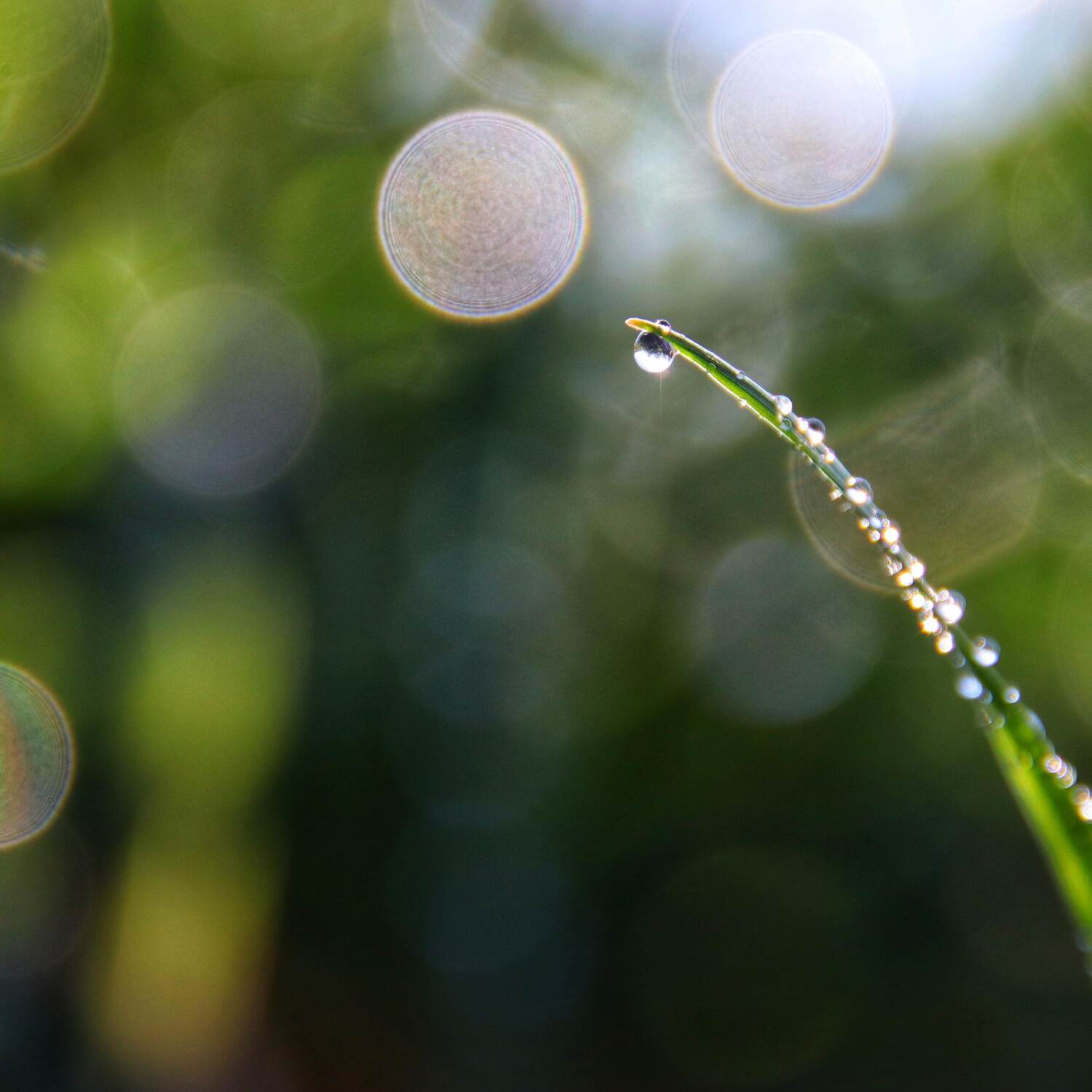 Es werde Licht ....