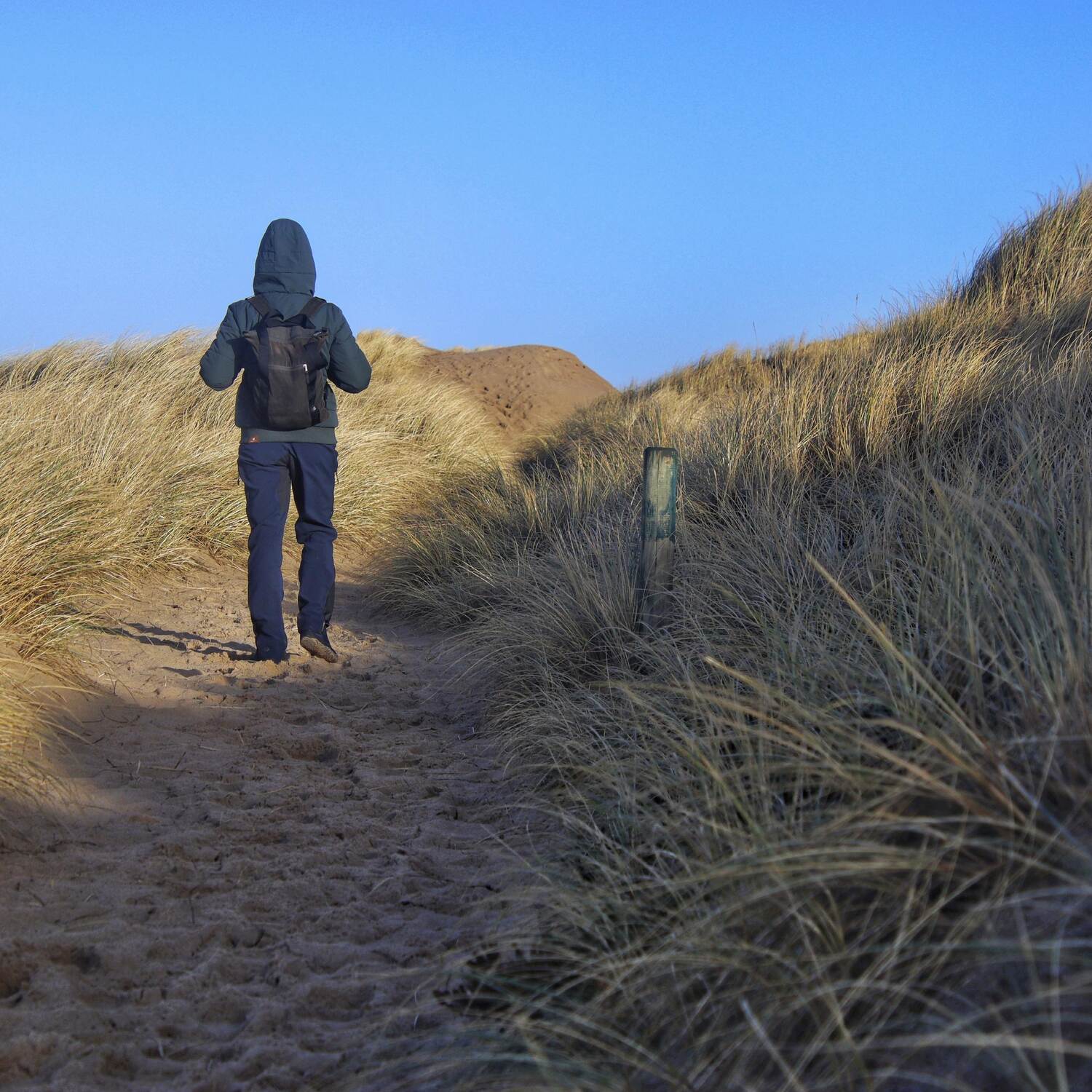 Sylt die Insel