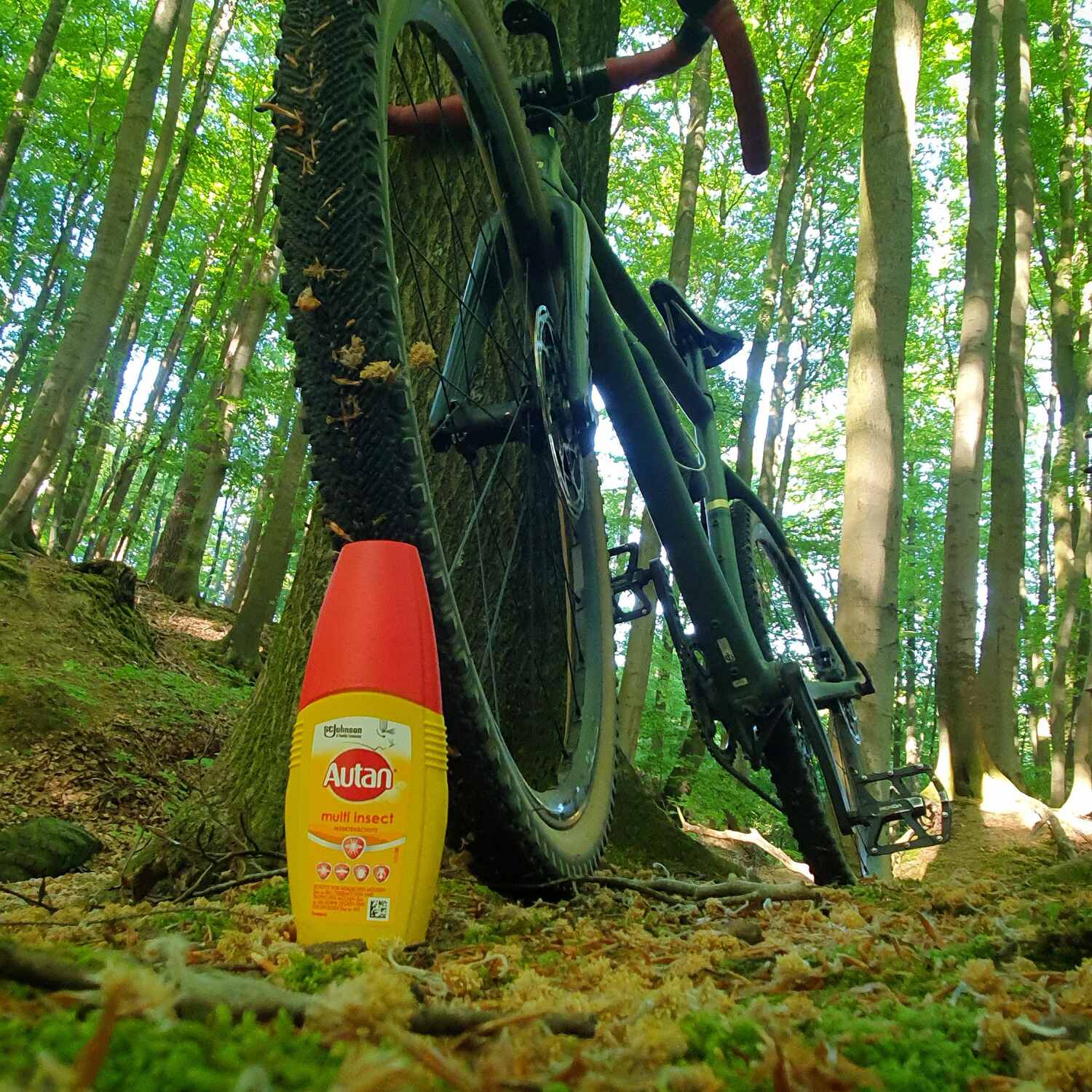 Start in die Mückensaison