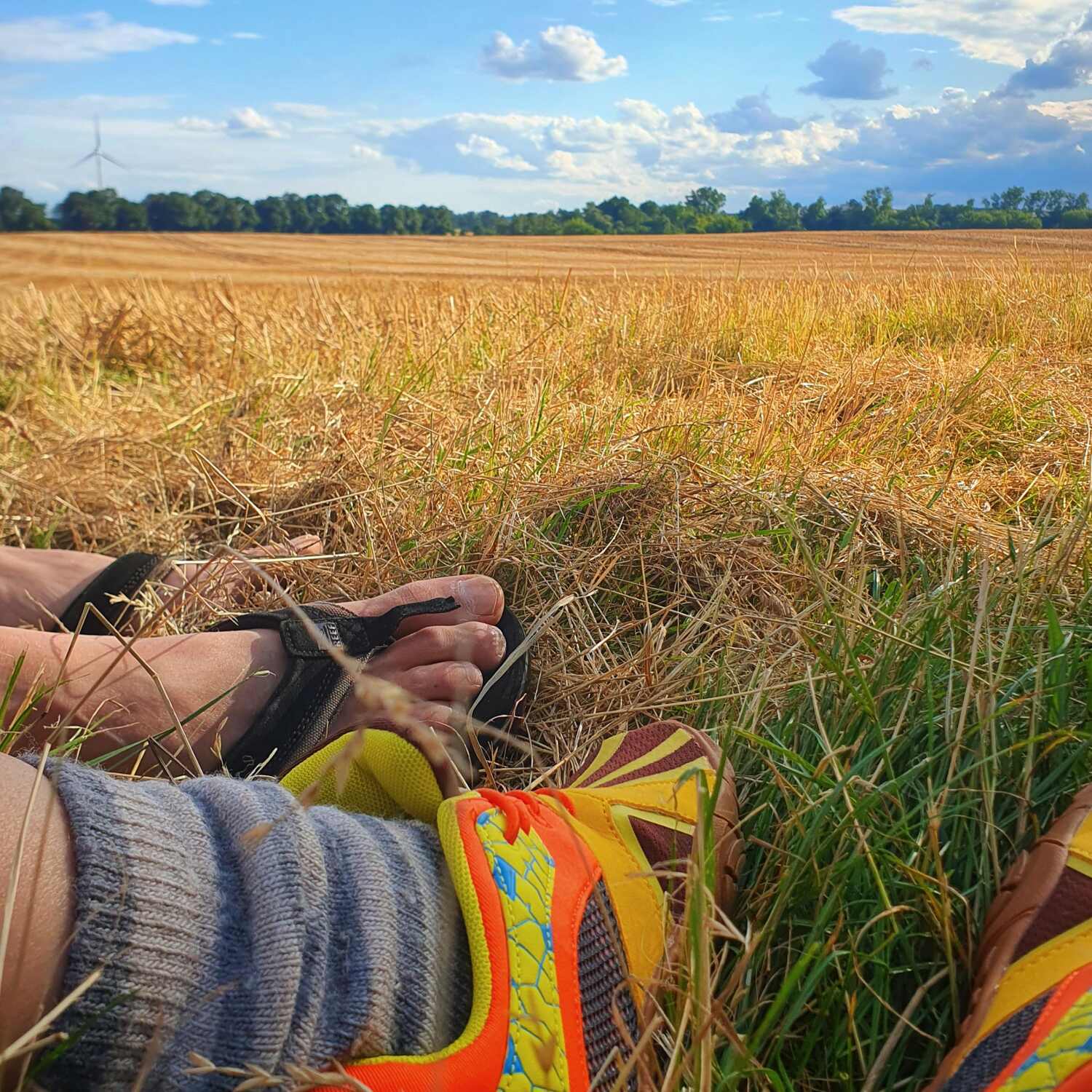 Mitteleuropäische Sommervibes