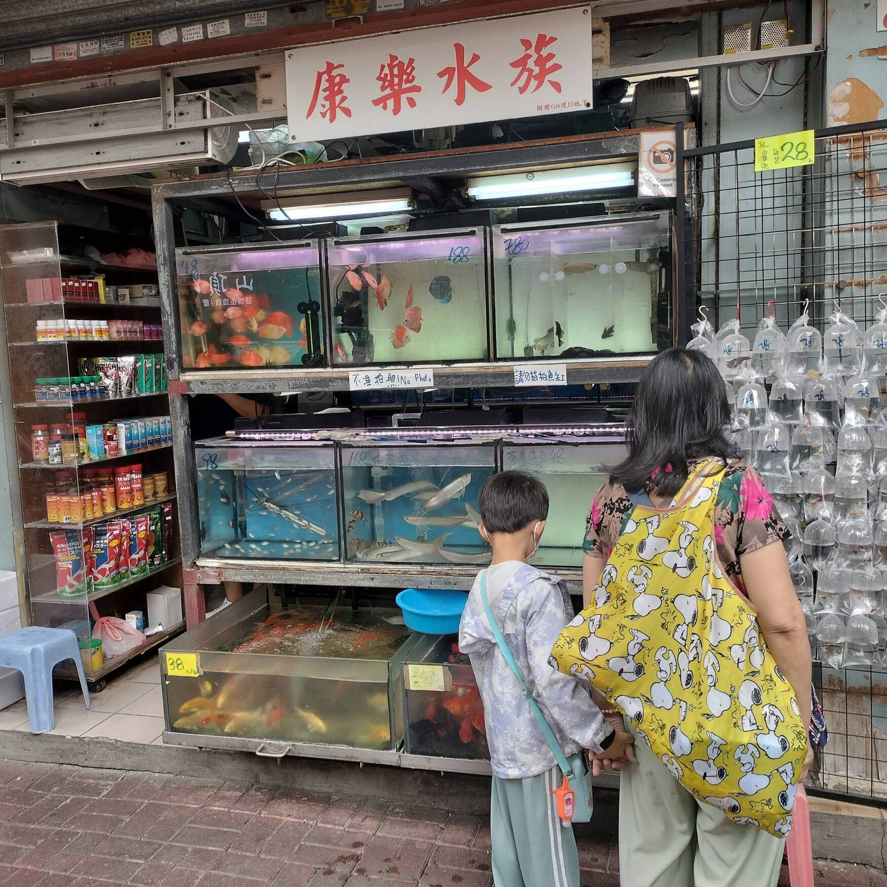 Hong Kong