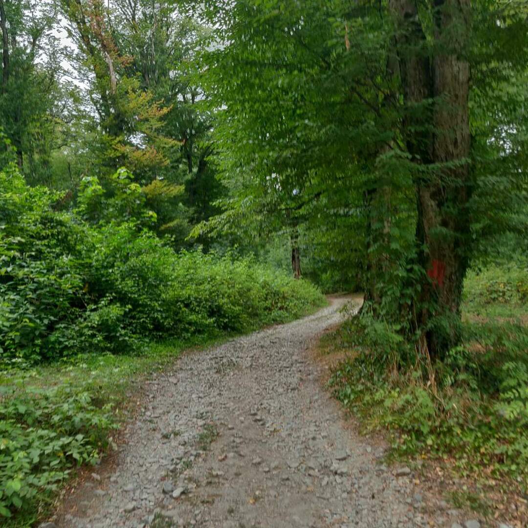 Georgia