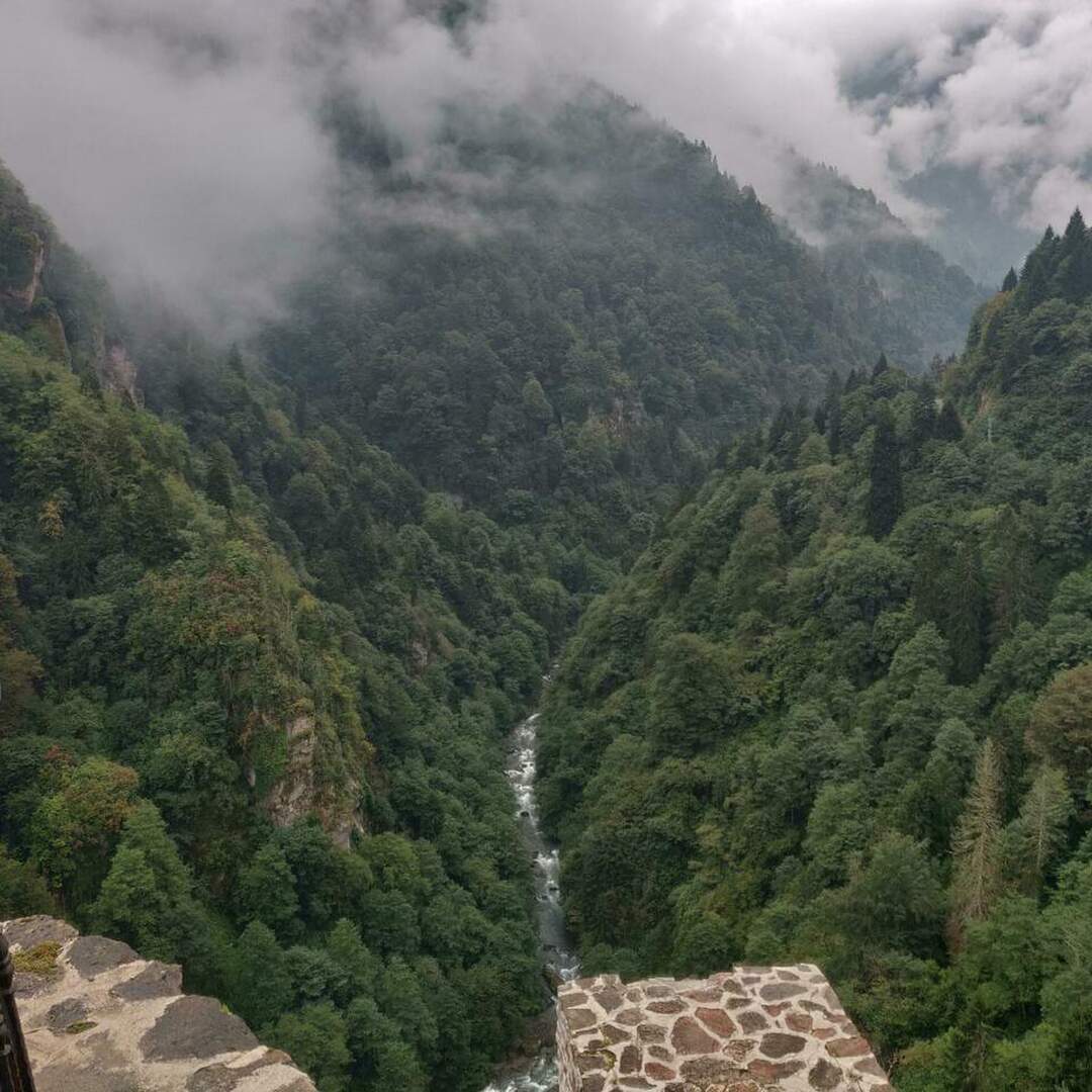 Turkey