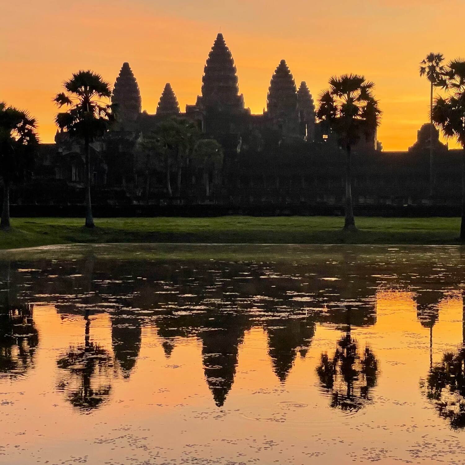 Chinese New Year In Cambodia