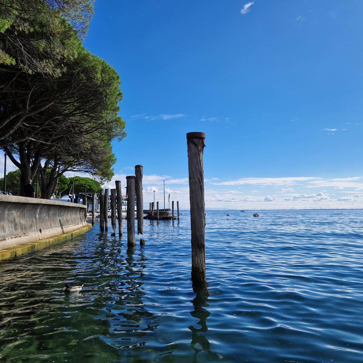 Gardasee Herbst 2024