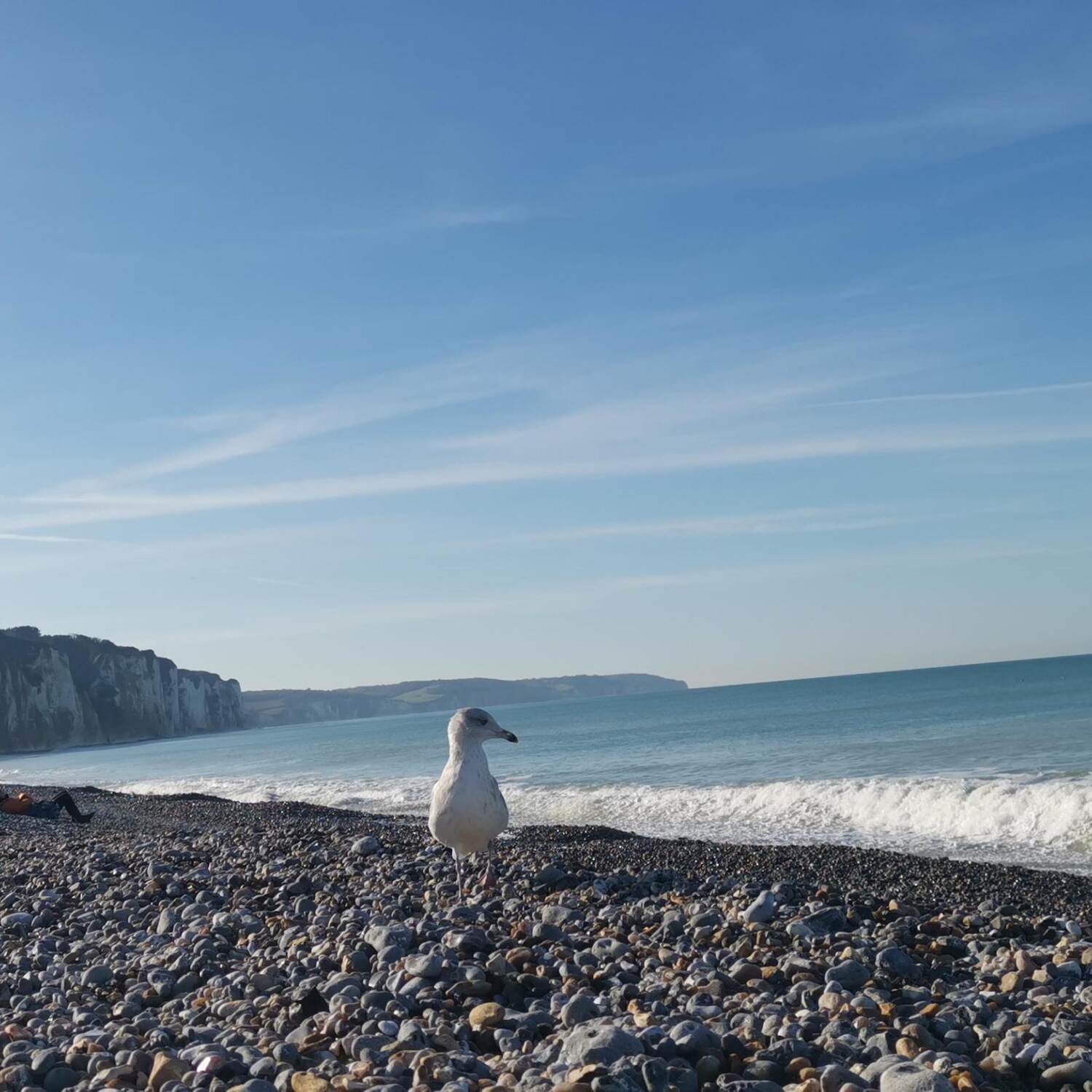 2022 Dieppe