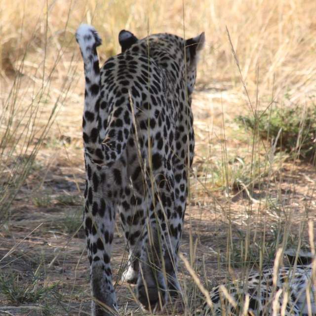 Namibia 2017