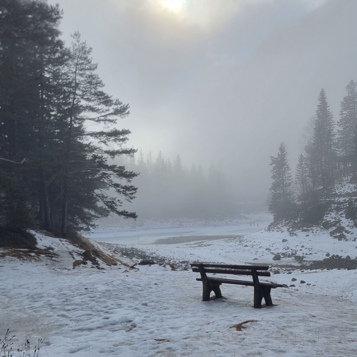 Grüner See - Ruhig und einsam!