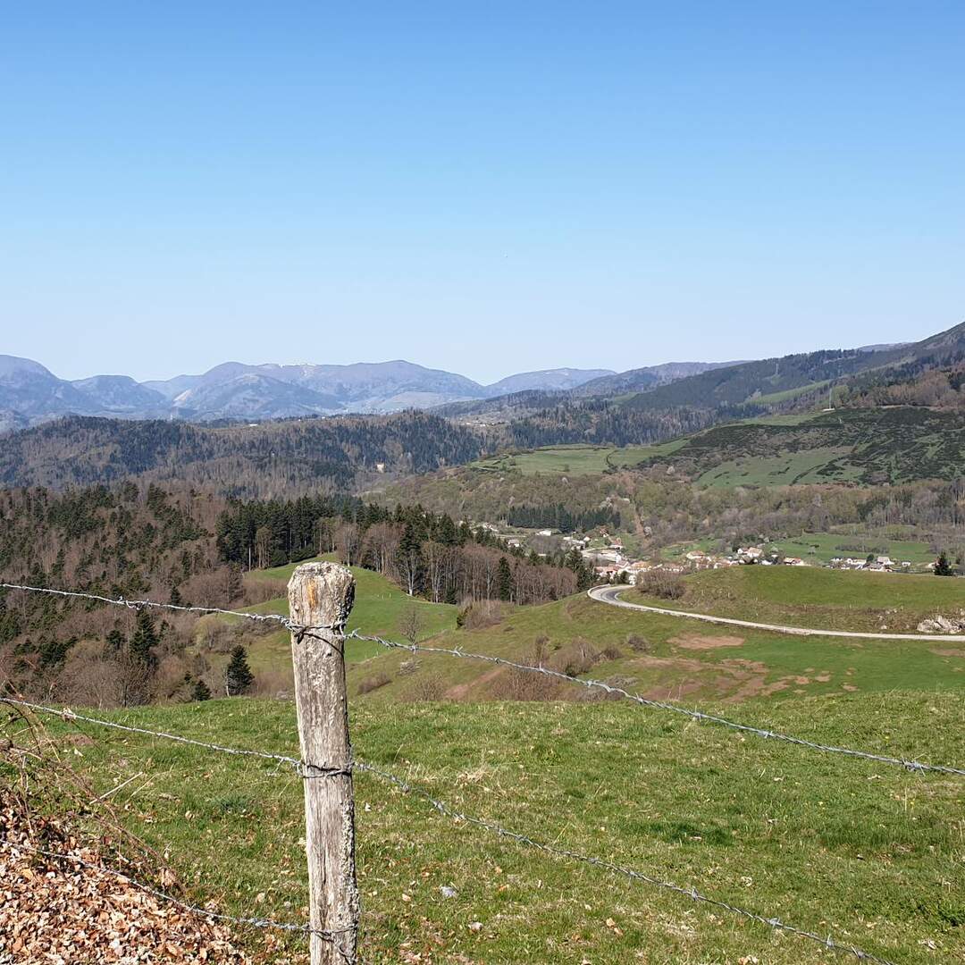 Schwarzwald und Vogesen