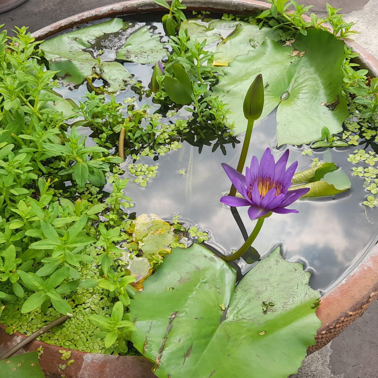 Winterurlaub in Thailand