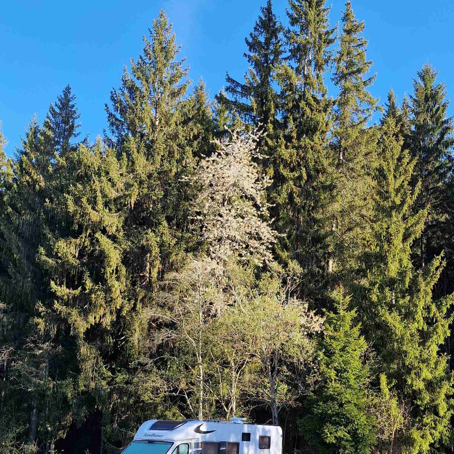 Kurztrip ins Breisgau