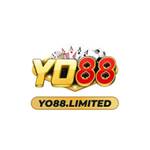 yo88 limited