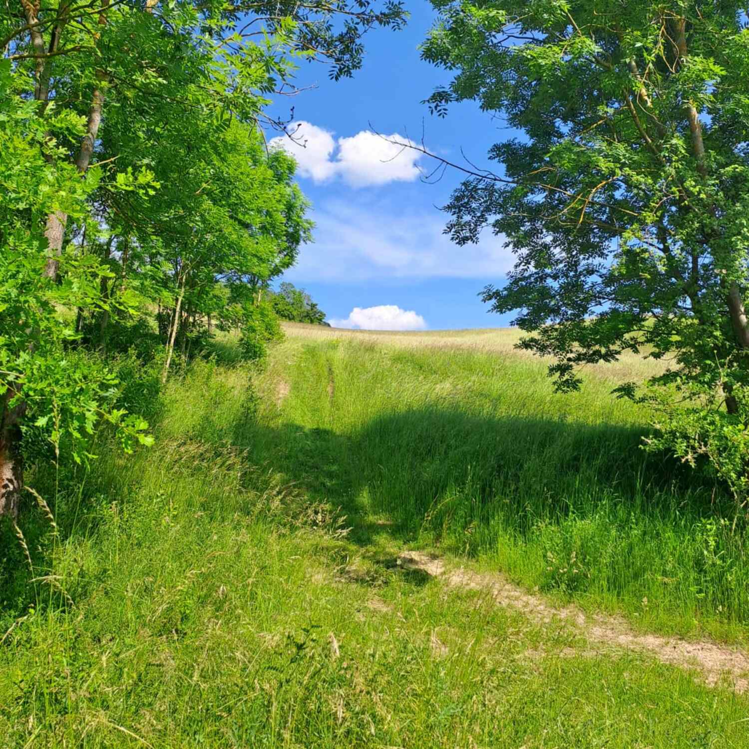 Auszeit in Jena