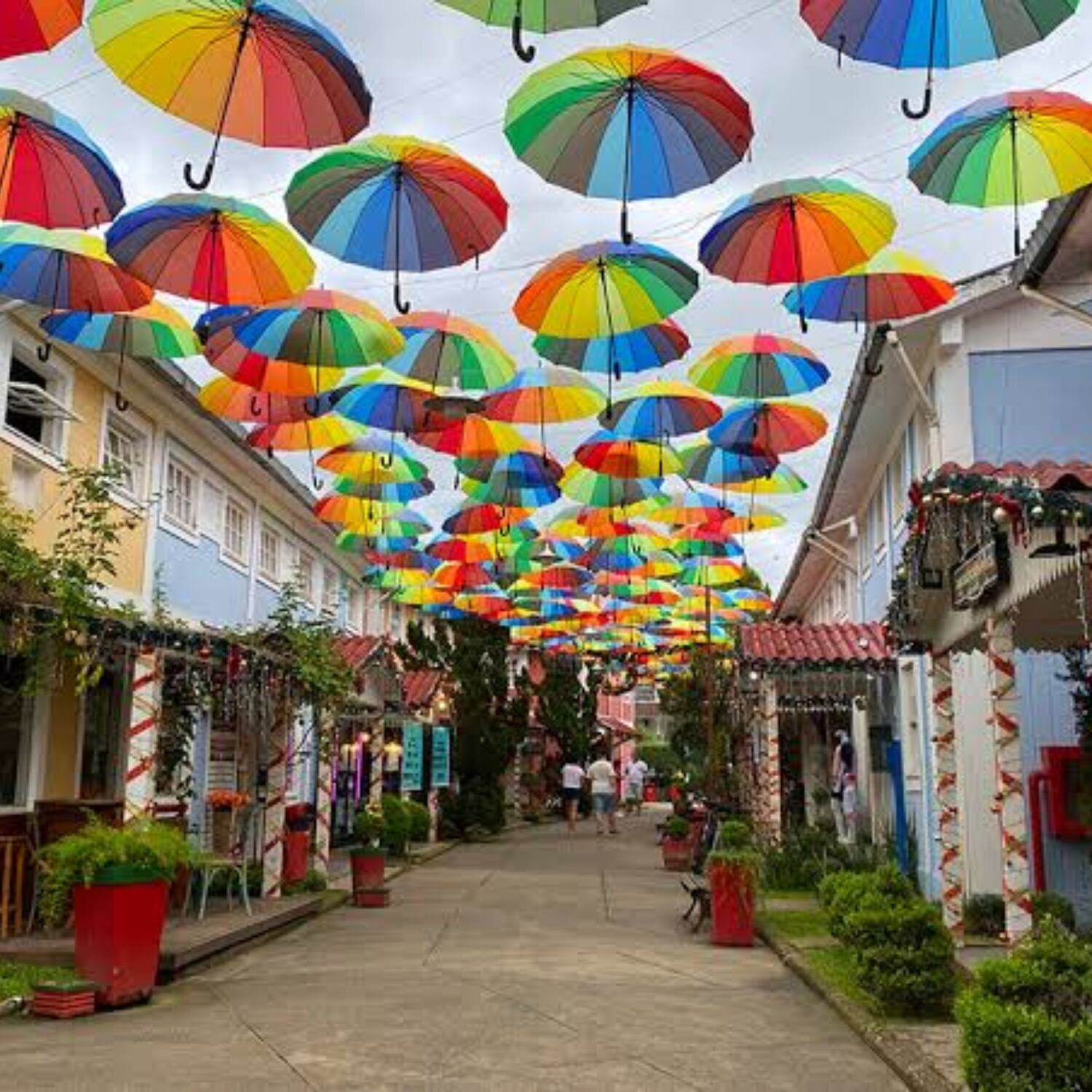 Penedo