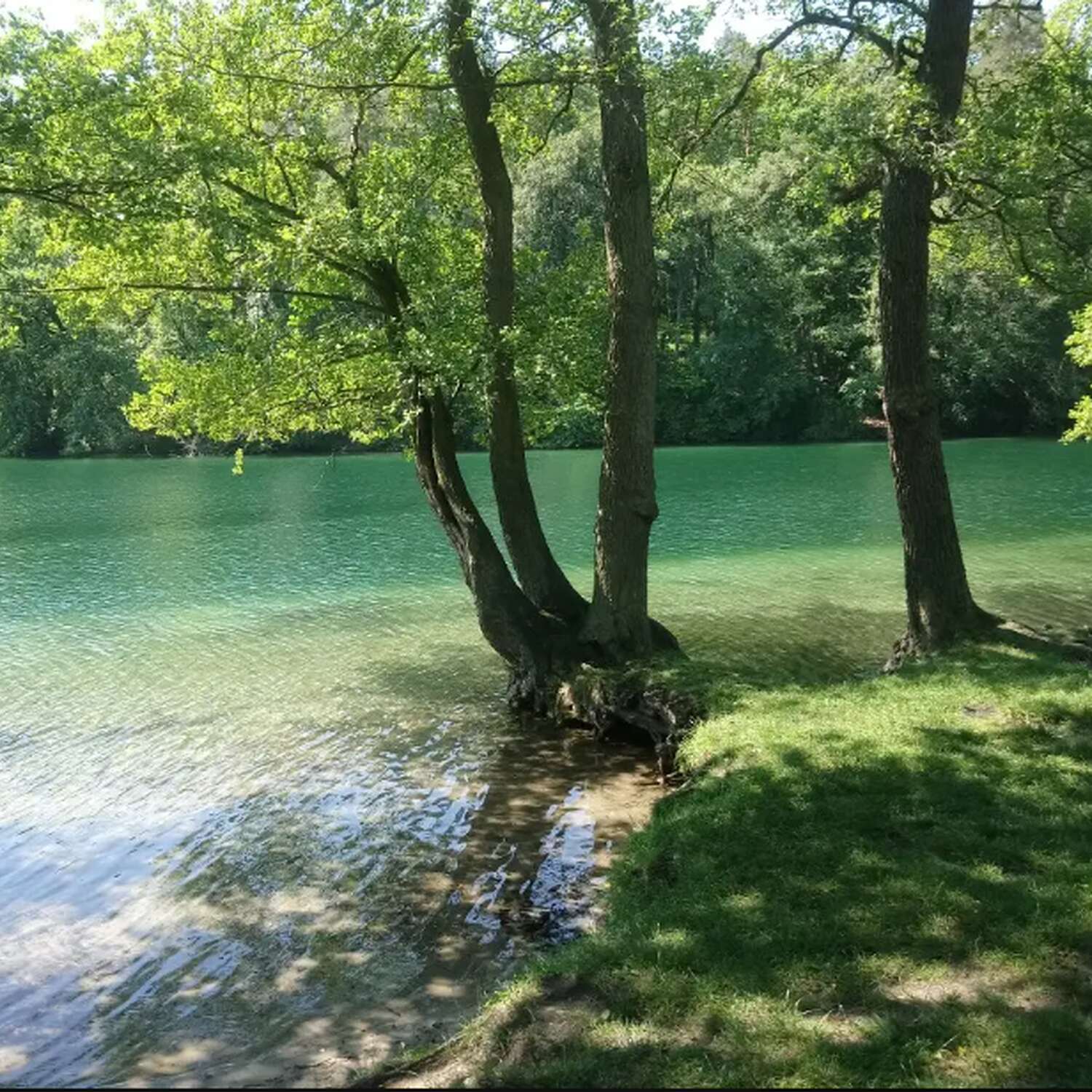 Wanderweg E9A