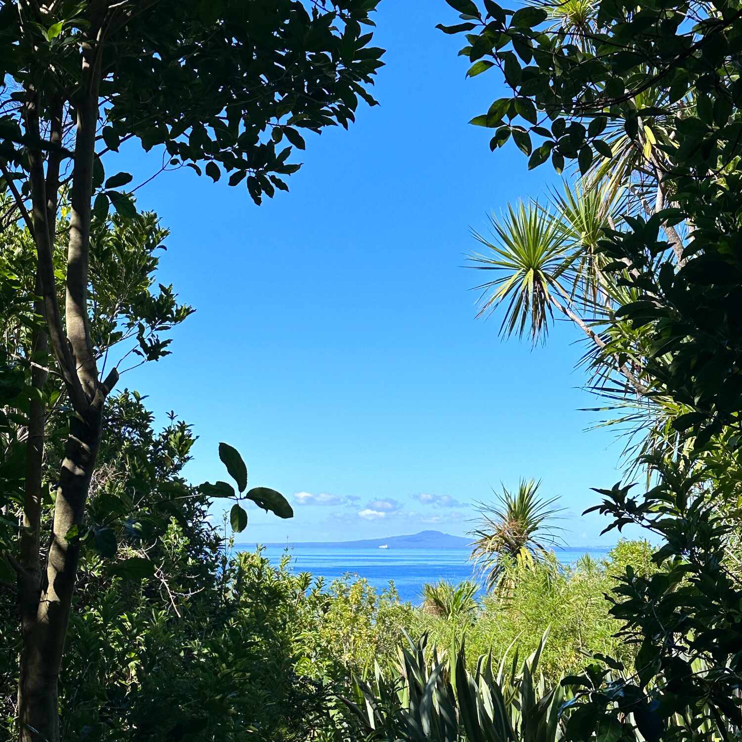 Weltreise: Neuseeland