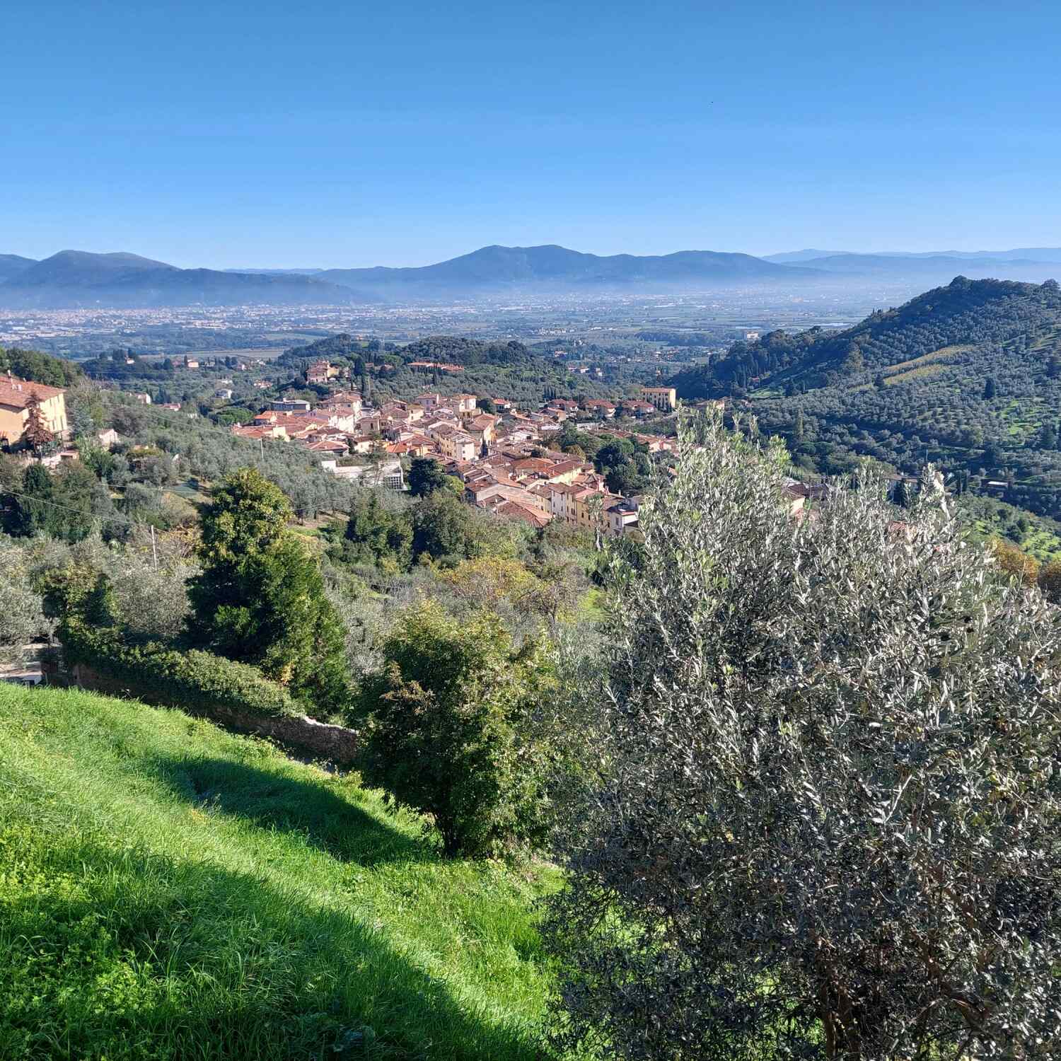 Toskana Orienteering Classic