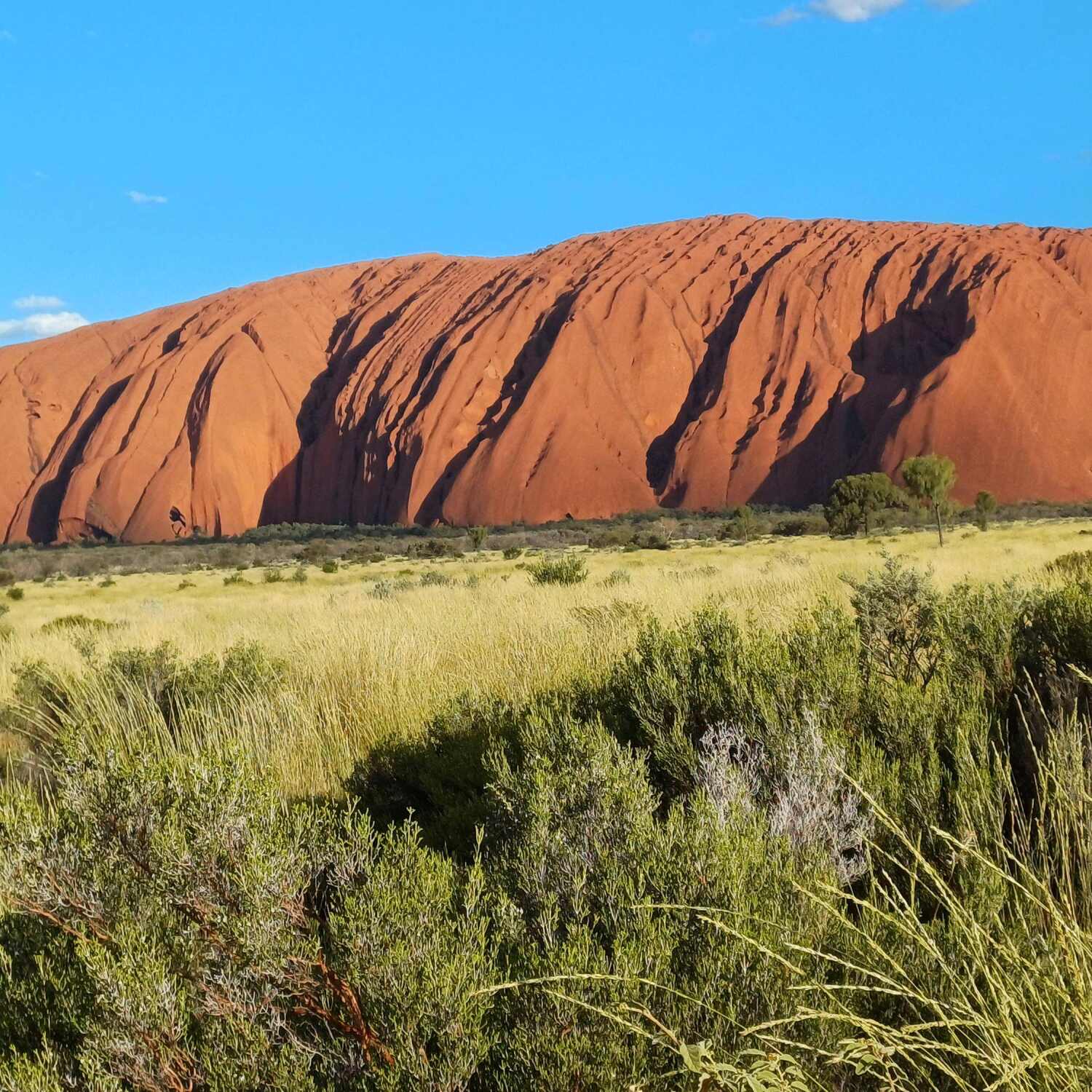 Besuch von Crocodile Dundee