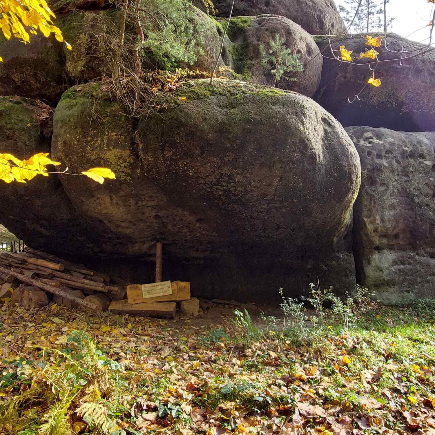 Mammuts Wandern in Sachsen und