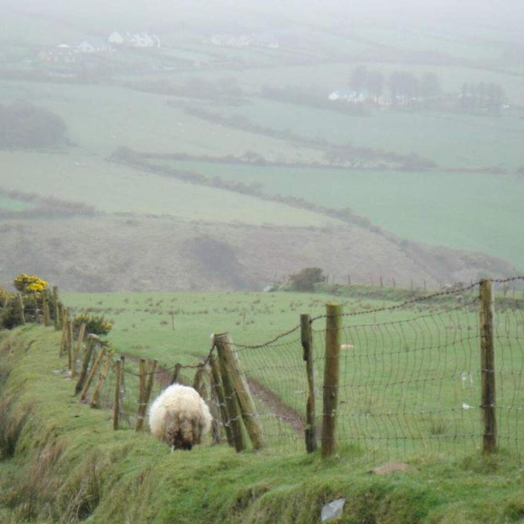 Ireland