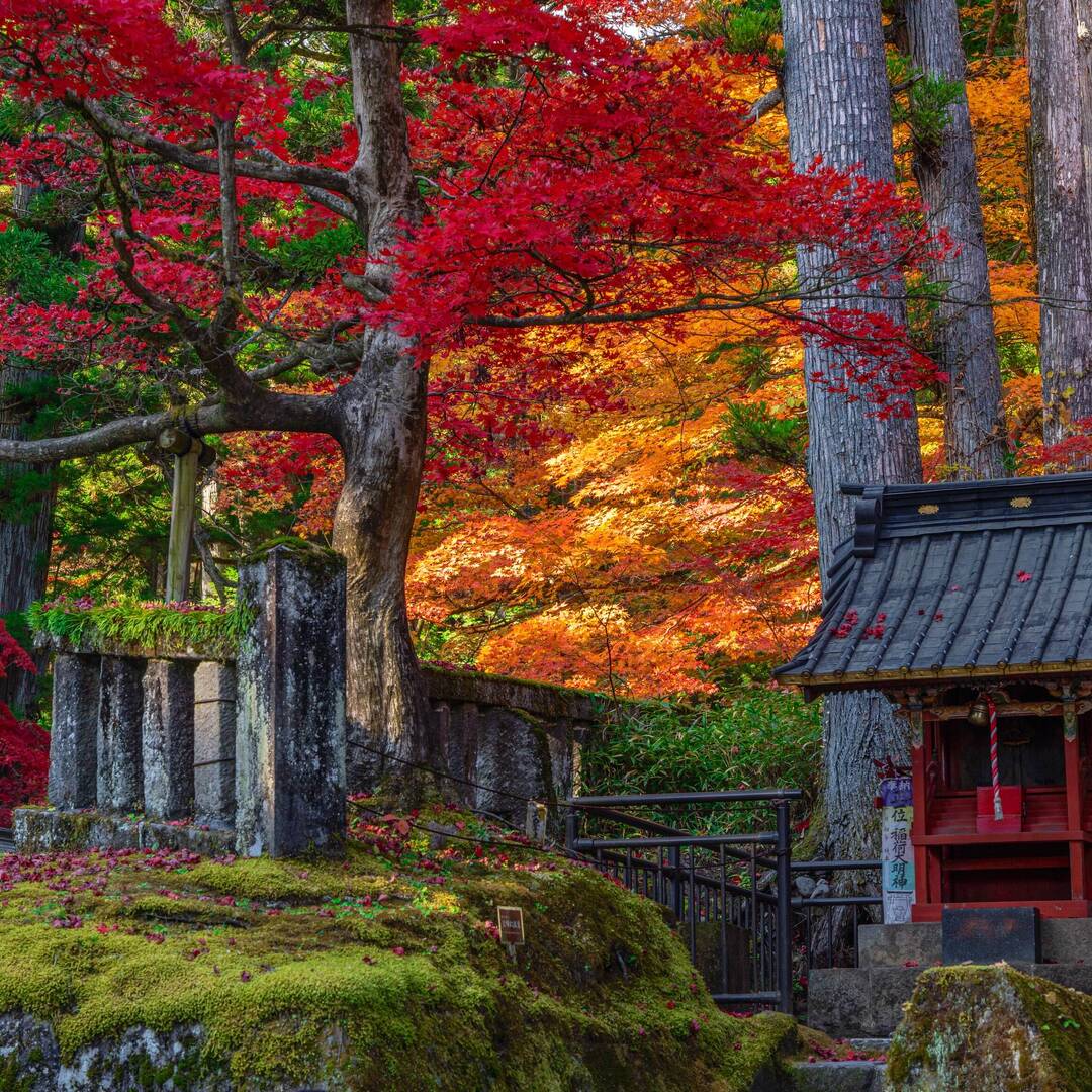 Japan - Autumn 2022