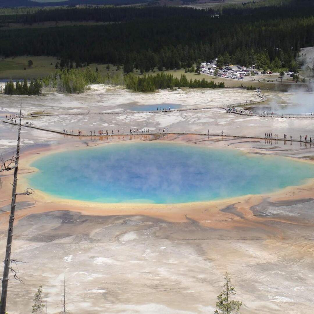 Yellowstone 2011