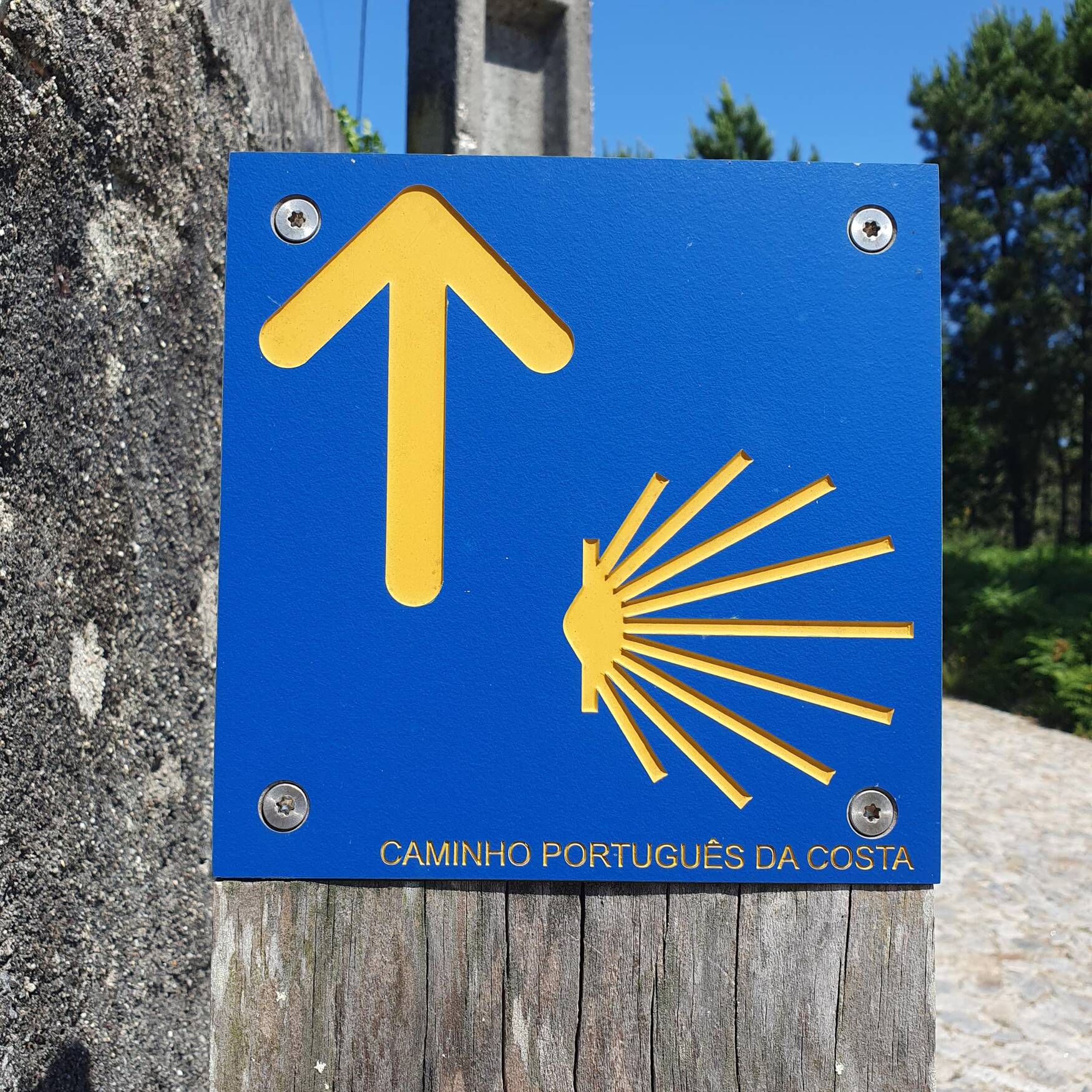 Caminho Português