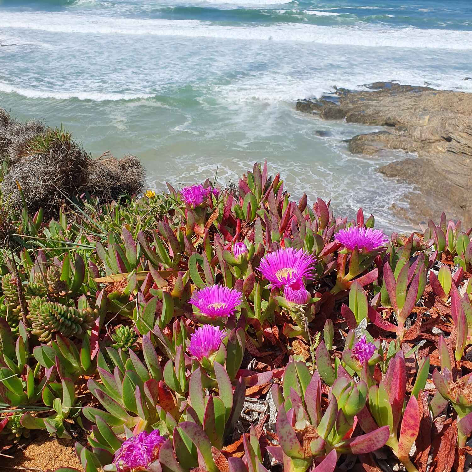 Trilho dos Pescadores