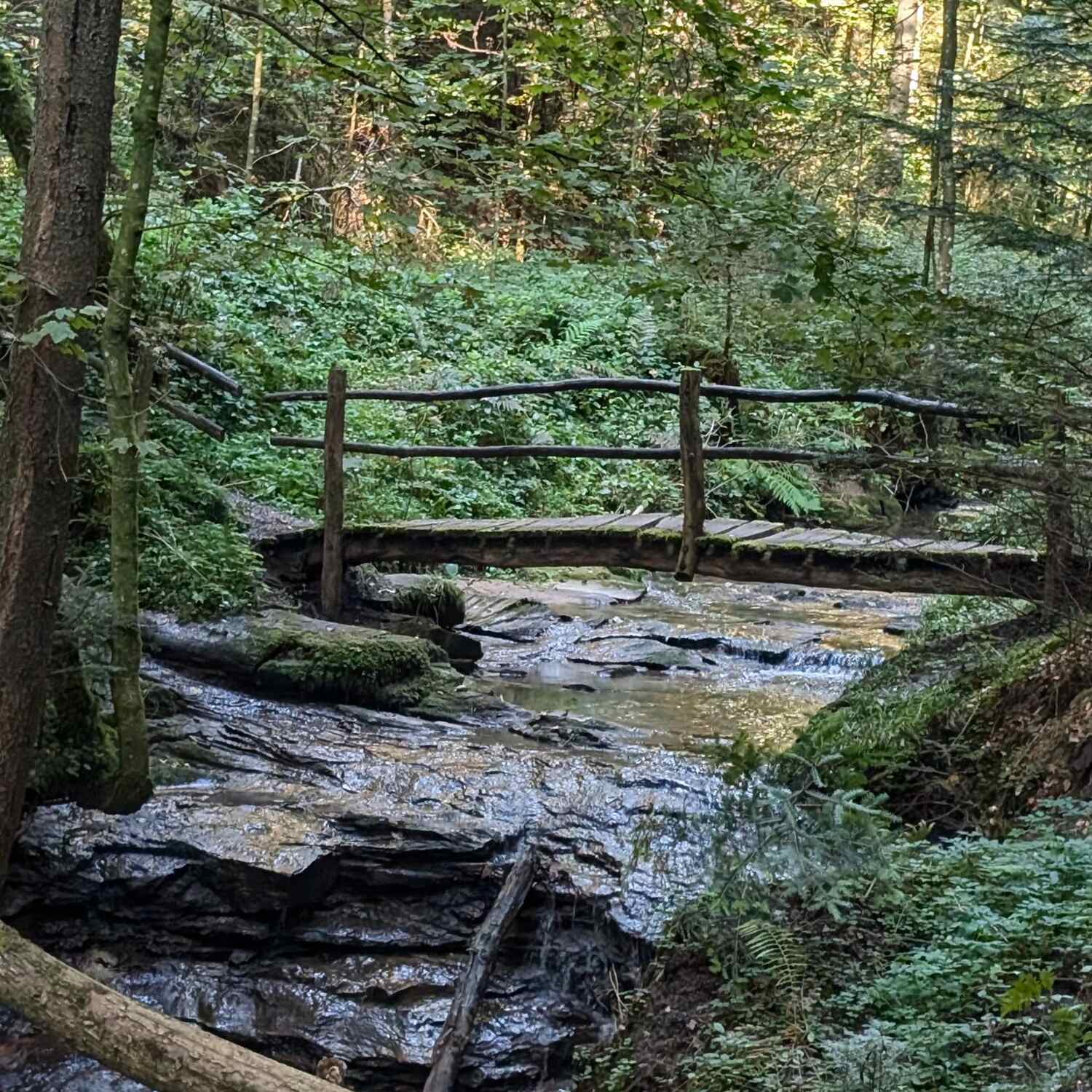 3 - Schluchten Wanderung