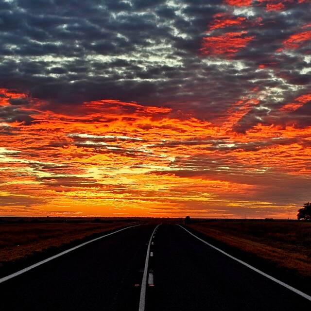 Narelle Car