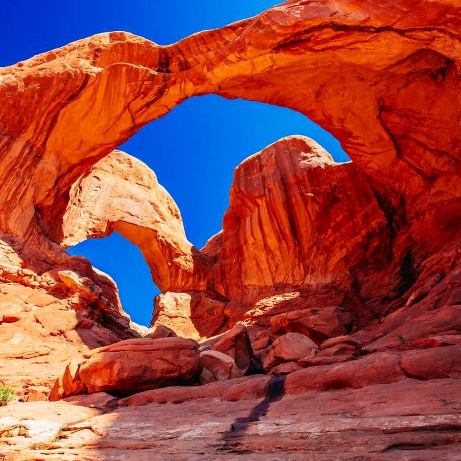 The Grand Circle Road Trip