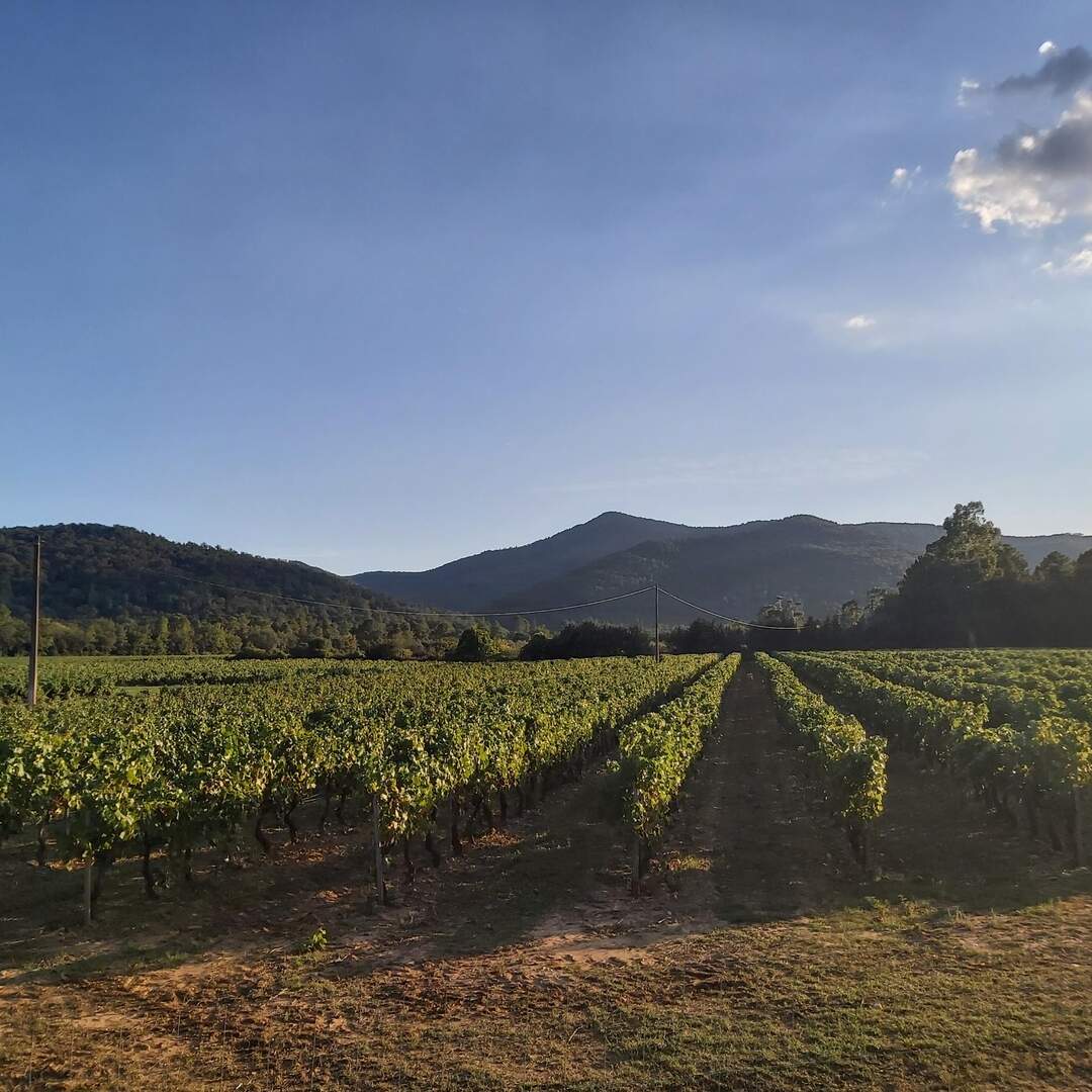 Provence entdecken