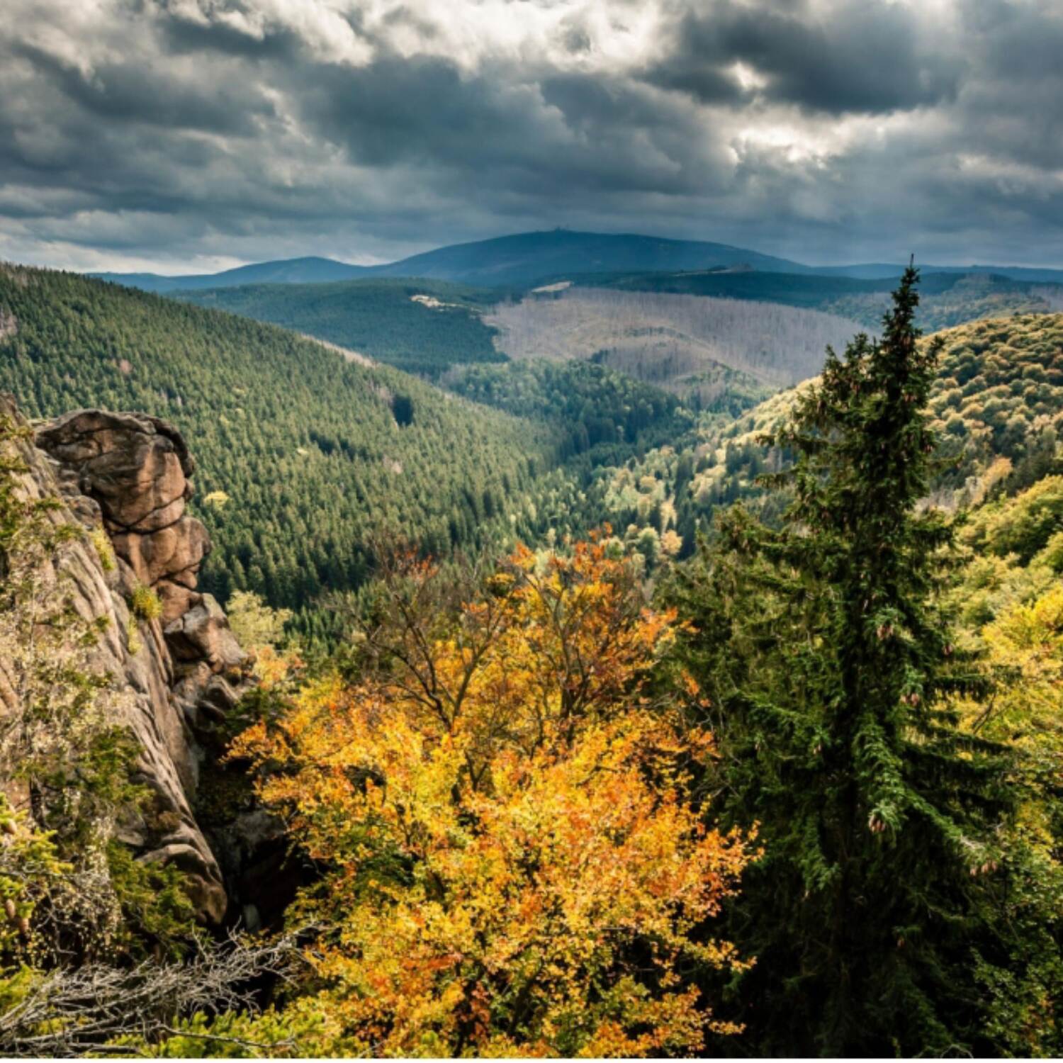 HARZ