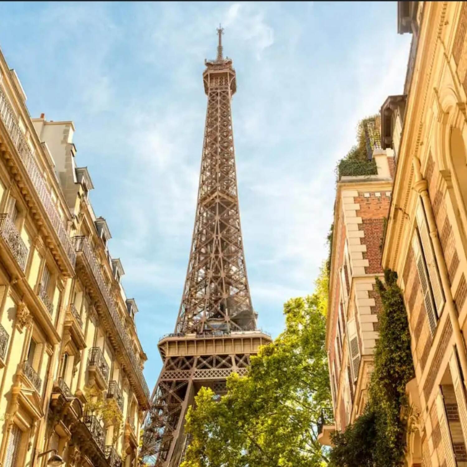 PARIS (statt Weihnachten)