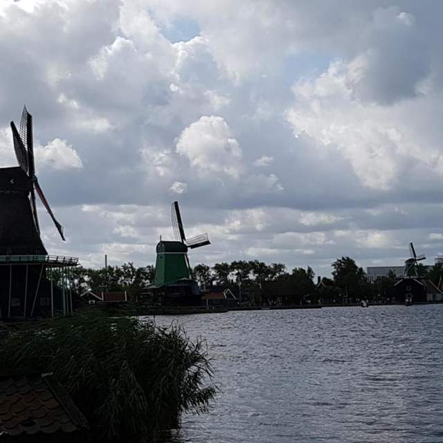 Niederlande (NED) [2018]