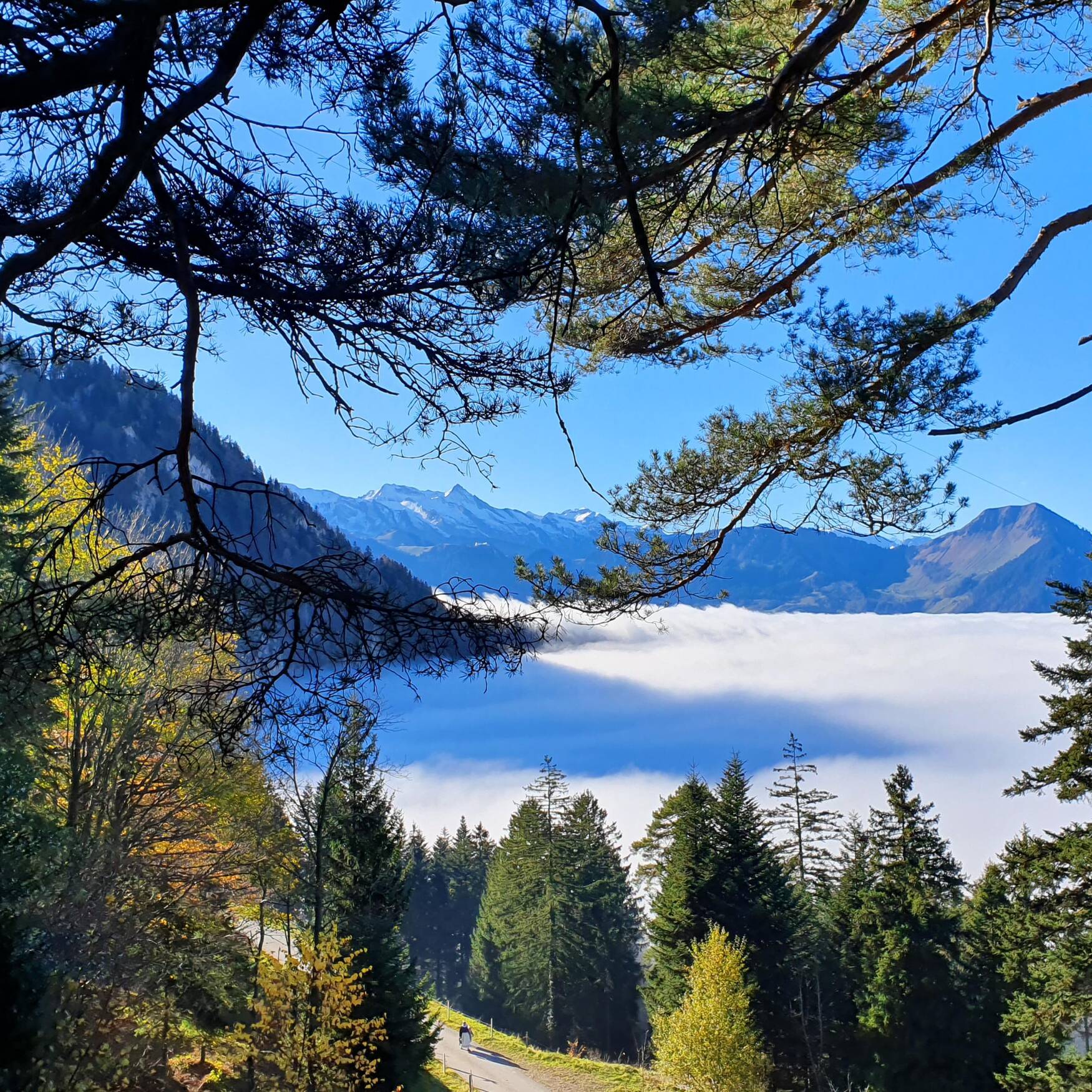 Wanderung Gersauerstock