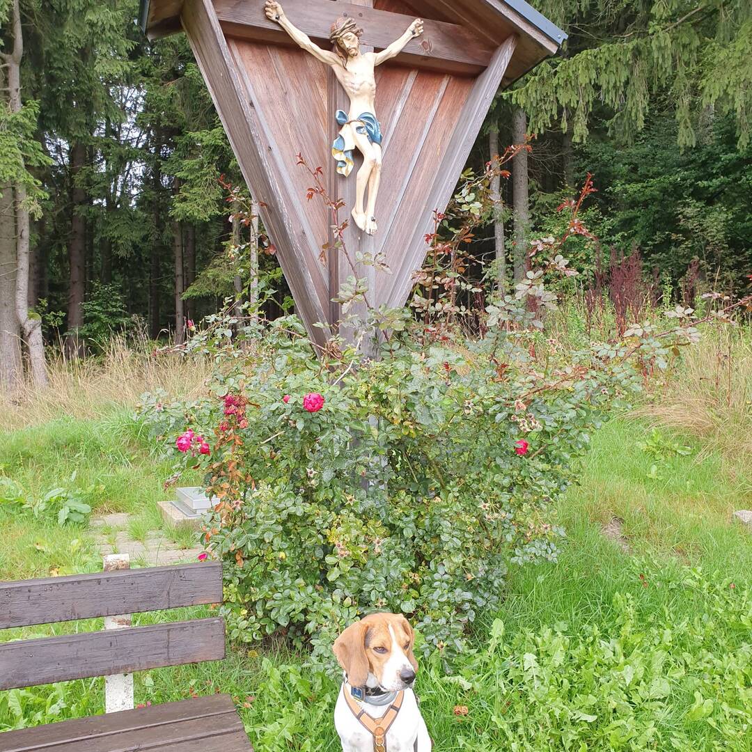 Kalle Training