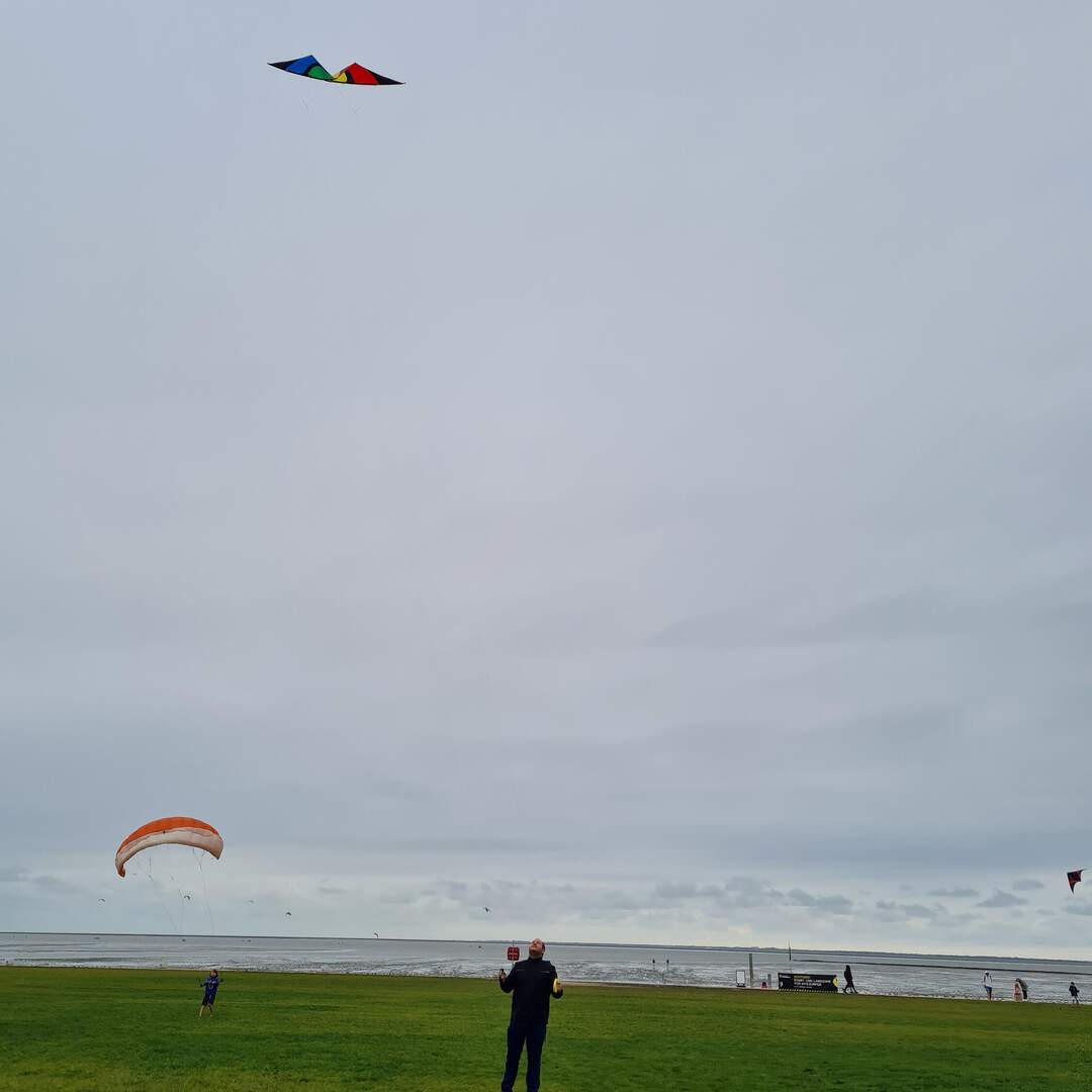Nordsee für Anfänger