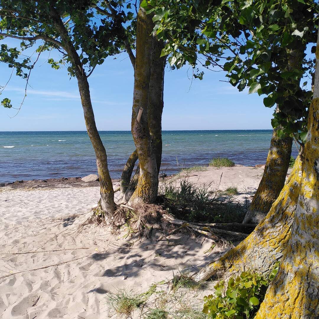 Mecklenburg-Vorpommern