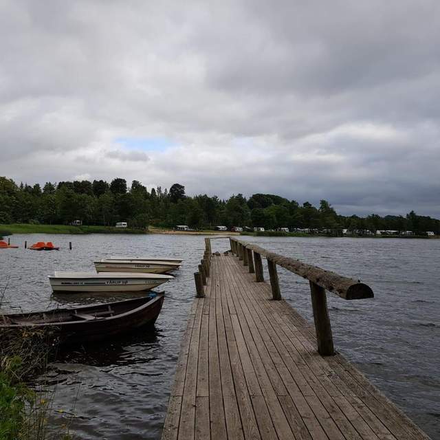 Limfjord